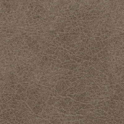 Sofá 2 cuerpos Navi fossil