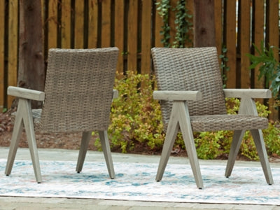 Carisbo Outdoor Arm Chair (Set of 2)